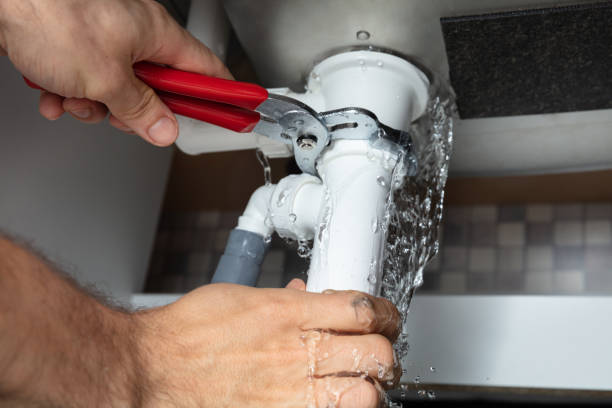 Best Carpet water damage restoration  in Blue Island, IL