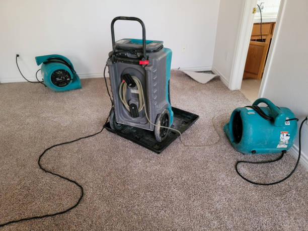 Best Professional water damage repair  in Blue Island, IL