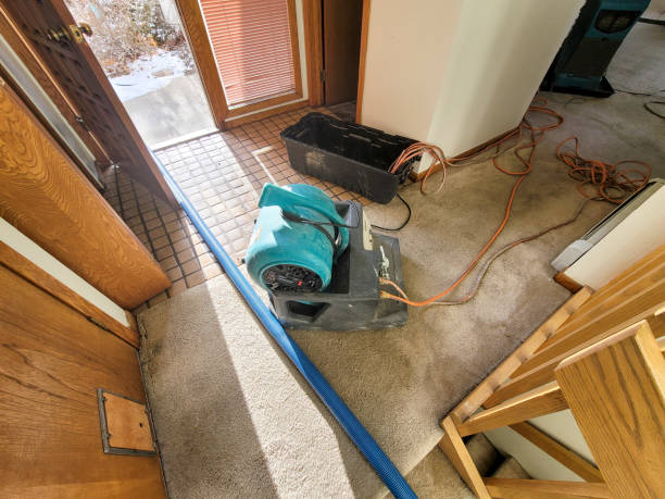Best 24/7 water damage repair  in Blue Island, IL