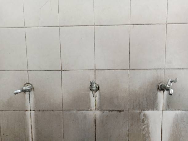 Water damage restoration mold remediation in Blue Island, IL
